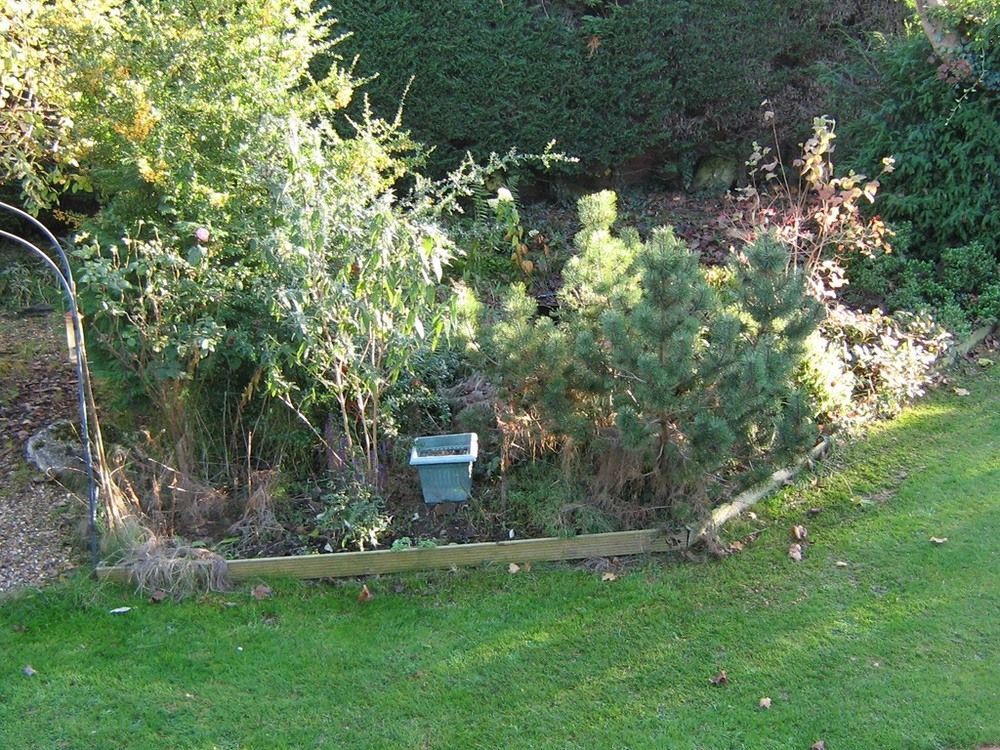 Savannah Bed And Breakfast Virginia Water Esterno foto